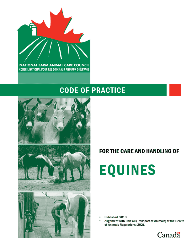 Equine - Codes of Practice for the care and handling of horses