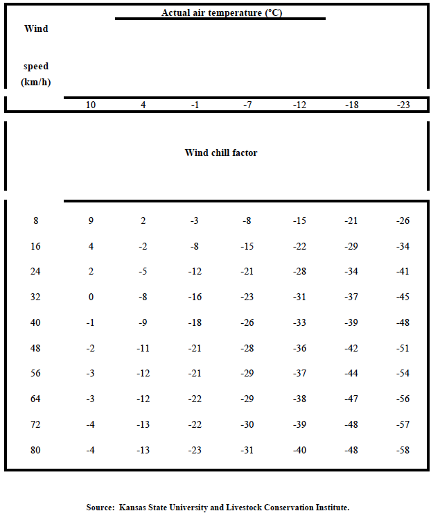 Wind Chill Factor