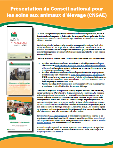 Présentation du Conseil national pour les soins aux animaux d’élevage