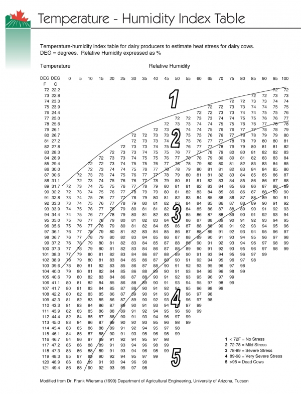 Bovine Temperature Chart