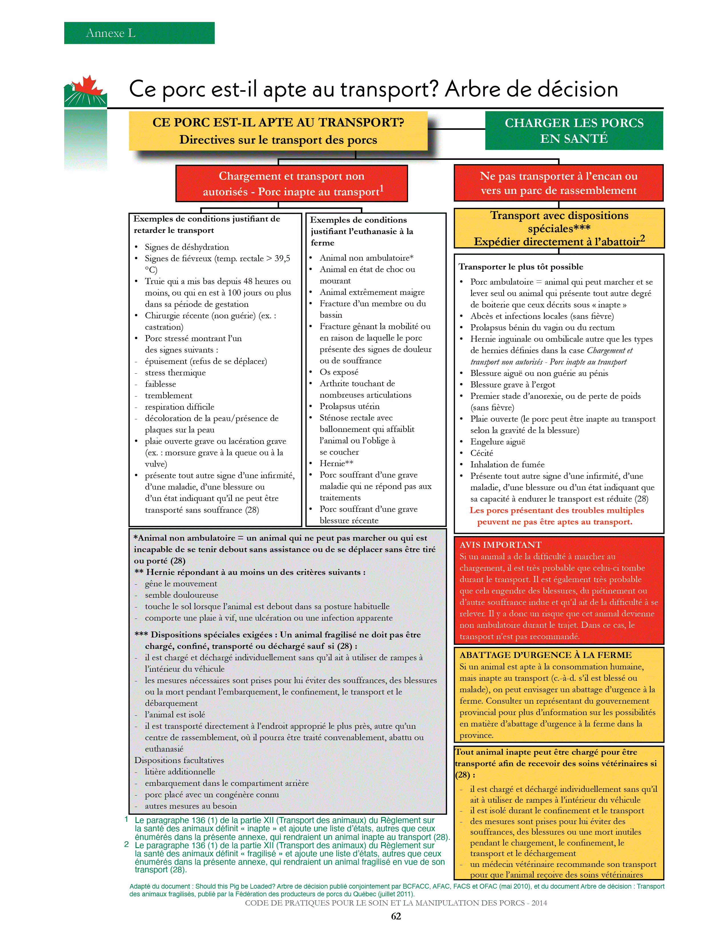 🔎 Porc - Définition et Explications