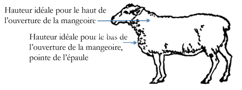 Trouvez le bon matériel pour les soins des moutons et chèvres